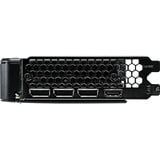 Palit NE7506T019P1-GB2062D, Grafikkort 