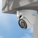 Reolink P434, Overvågningskamera Hvid/Sort