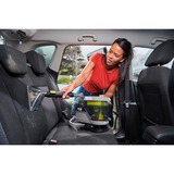 Ryobi 5133006212, Støvsugere vask Grøn/Sort