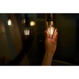 Shelly 3800235262092, LED-lampe 