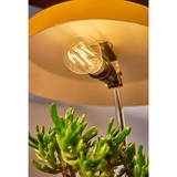 Shelly LED-lampe 