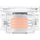 Thermaltake UX200 SE ARGB Lighting CPU Cooler White, CPU køler Hvid