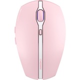 CHERRY JW-7500-19, Mus Rosa