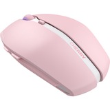 CHERRY JW-7500-19, Mus Rosa