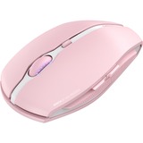 CHERRY JW-7500-19, Mus Rosa