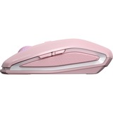 CHERRY JW-7500-19, Mus Rosa
