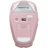CHERRY JW-7500-19, Mus Rosa