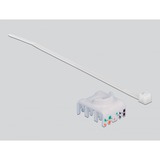 DeLOCK DIN-skinneadapter med Keystone-modul RJ-45 > Cat.6a LSA, Keystone modul grå