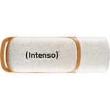 Intenso USB-stik Beige/Brown