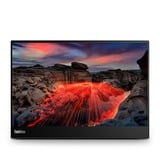 Lenovo M14t Gen2(D24140QX0), LED-skærm Sort