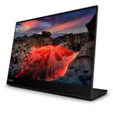 Lenovo M14t Gen2(D24140QX0), LED-skærm Sort