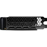Palit GeForce RTX 5050 Dual OC 8GB, Grafikkort 
