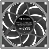 Thermaltake CL-F210-PL12SW-A, Sag fan 