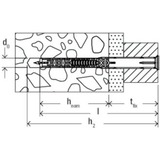 fischer DuoXpand 10x100 T, 562156, Dyvel Lys grå/Rød