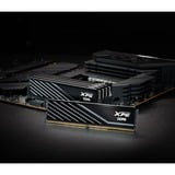 ADATA AX5U6000C4816G-DTLABBK, Hukommelse Sort