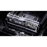 G.Skill F5-8000J4048F24GX2-TR5S, Hukommelse Sølv