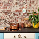 Shelly Gas CNG, Gasdetektor 