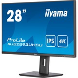 iiyama LED-skærm Sort