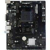 Biostar A520MHP, Bundkort 