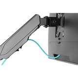 Digitus DA-90396 skærmbeslag og -stativer 81,3 cm (32") Sort Væg Sort, Skruer, 8 kg, 43,2 cm (17"), 81,3 cm (32"), 100 x 100 mm, Sort