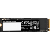 GIGABYTE AORUS Gen4 7300 2 TB, Solid state-drev Sort
