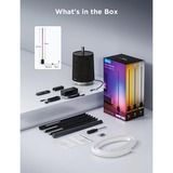 Govee RGBICWW Gulvlampe Pro, LED lys Sort