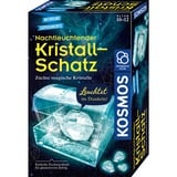 KOSMOS 645687, Eksperiment boks 