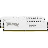 Kingston FURY FURY Beast 64GB 6000MT/s DDR5 CL30 DIMM (Sæt med 2) White EXPO, Hukommelse Hvid, 64 GB, 2 x 32 GB, DDR5, 288-pin DIMM, Hvid
