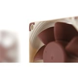 Noctua Sag fan Beige/Brown