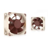 Noctua Sag fan Beige/Brown