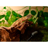 SwitchBot Smart pakke – 3-pak termohygrometer og Hub Mini, Sæt Hvid