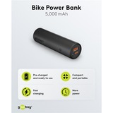 goobay 60656, Power Bank Sort