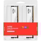 ADATA DIMM 16 GB DDR5-5600 (2x 8 GB) Dual-Kit, Hukommelse Hvid