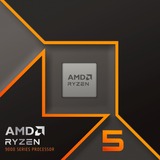 AMD 100-100001405WOF, Processor boxed