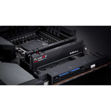 G.Skill F5-6000J3644D64GX2-FX5, Hukommelse Sort