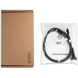 Icy Dock Kabel MCIO x8 SFF-TA-1016 > 2x OCuLink 4i SFF-8611 Sort