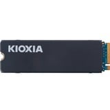 Kioxia Exceria med kølelegeme 4 TB, Solid state-drev 