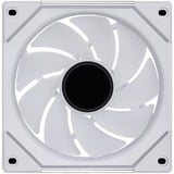 Lian Li UF-RSLIN140-1W, Sag fan Hvid