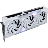 MSI V532-019R, Grafikkort 