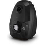 Rowenta RO6136, Gulv støvsuger 