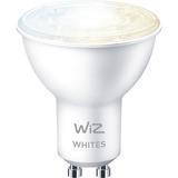 WiZ Spot 4,9 W (svarende til 50 W) PAR16 GU10, LED-lampe 9 W (svarende til 50 W) PAR16 GU10, Smart pære, Hvid, Wi-Fi, GU10, Flere, 2700 K