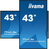 iiyama Offentlig visning Sort (mat)