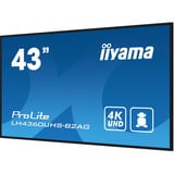 iiyama Offentlig visning Sort (mat)