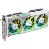 ASRock Intel® Arc B580 Steel Legend 12GB OC, Grafikkort 