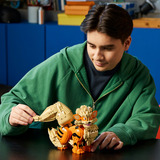 LEGO Pokémon Arkani, Bygge legetøj 