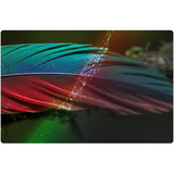 LG 65NU800B6LA.AEEQ, LED-tv Sort