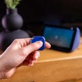 Shelly Blu Button1, Knappen Blå