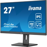 iiyama LED-skærm Sort (mat)