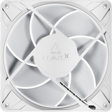 ARCTIC ACFAN00318A, Sag fan Hvid