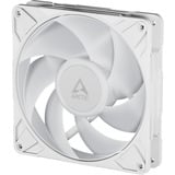 ARCTIC Sag fan Hvid